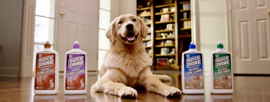 golden retriever on a wood floor